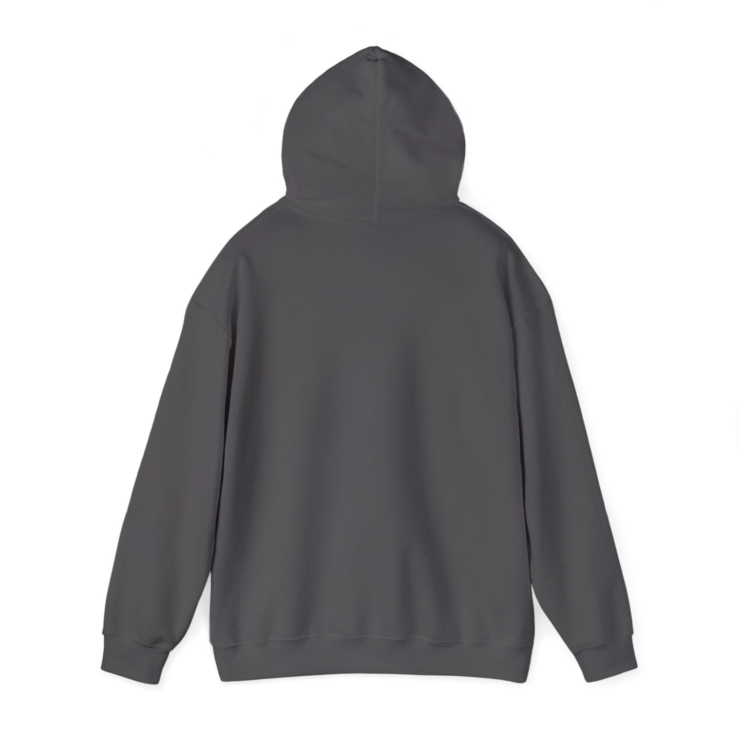 Just for today Hooded Sweatshirt