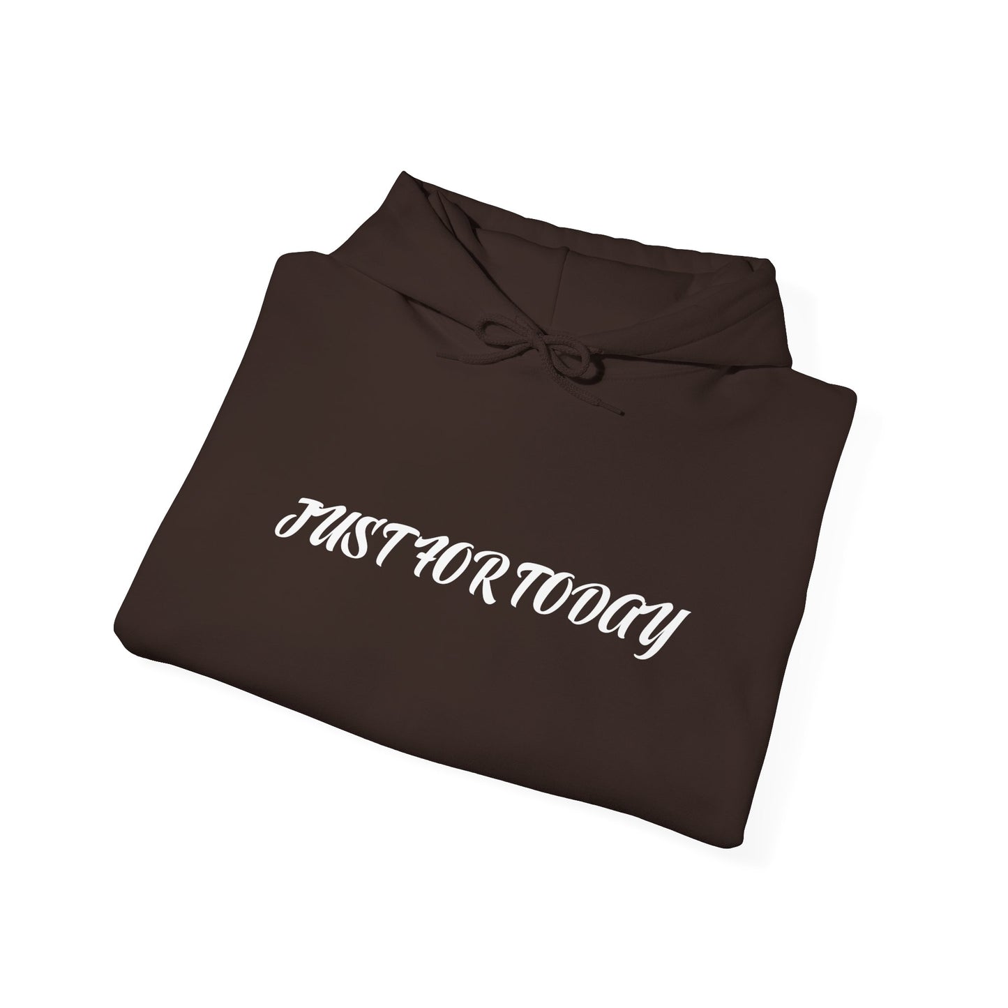 Just for today Hooded Sweatshirt